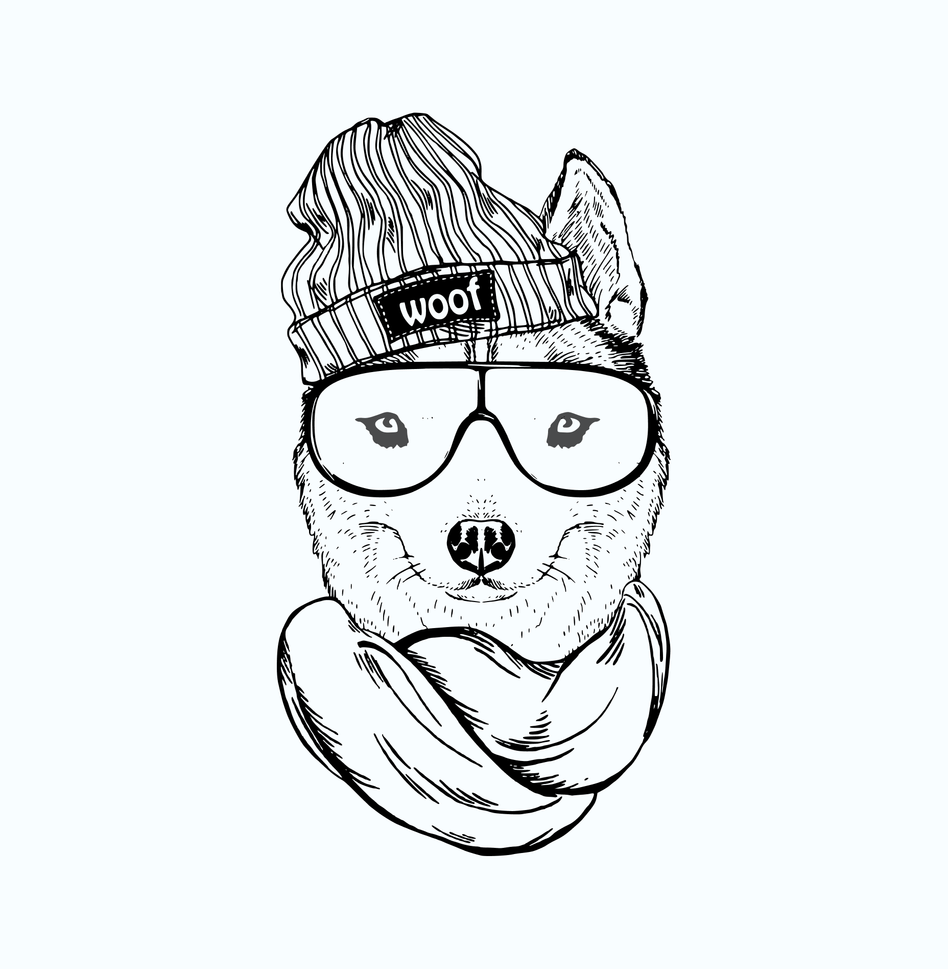 Husky Cool by Anmol Bhatt